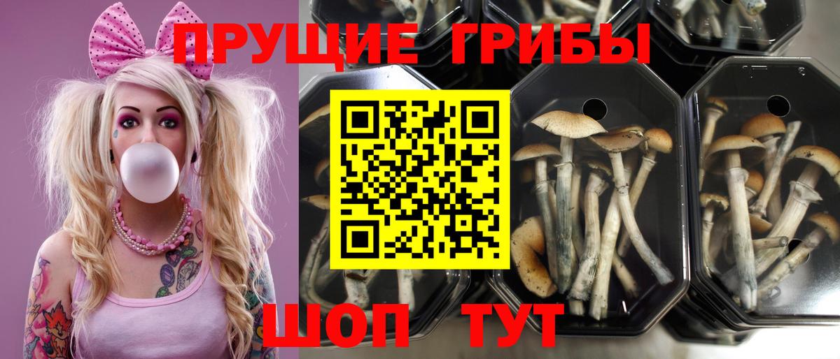 Галлюциногенные грибы MAGIC MUSHROOMS Лянтор